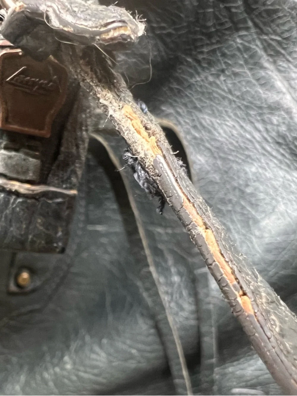 Balenciaga Motocross Agneau Classic Flat Crossbody Bag - Picture 11 of 15